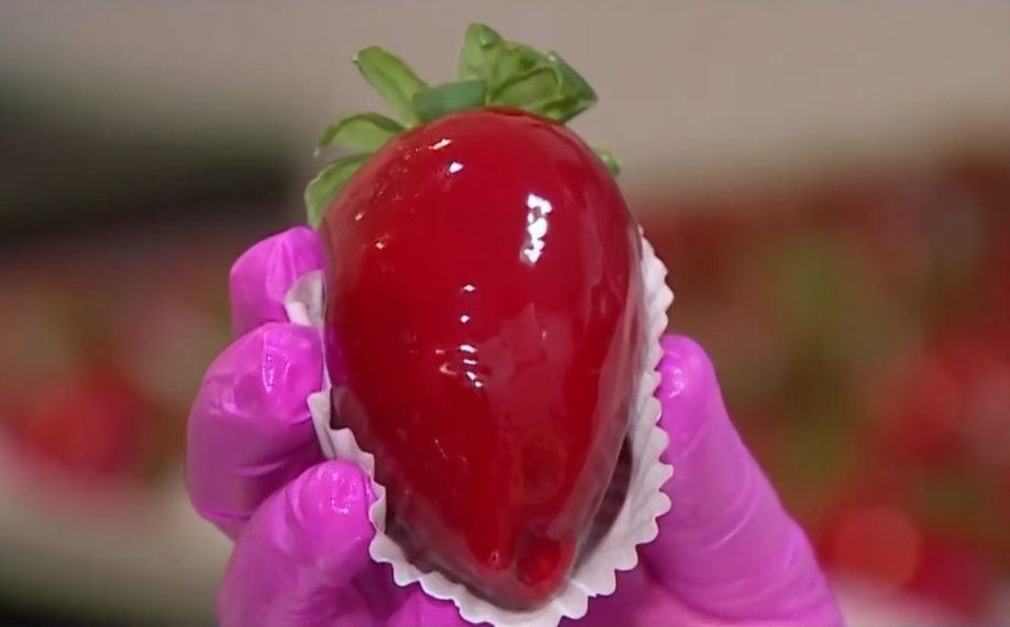 Pessoa segurando um morango do amor com casquinha vermelha